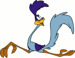 Road Runners Hampidoe